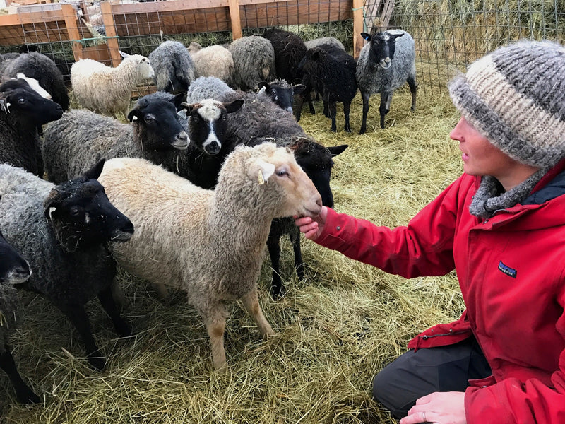 Shepherds Craft Farm, December 2016