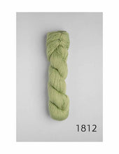Load image into Gallery viewer, Sami Organic Cotton By Amano Yarns (dk)