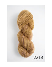 Load image into Gallery viewer, Riti (worsted) by Amano