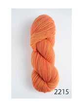 Load image into Gallery viewer, Riti (worsted) by Amano
