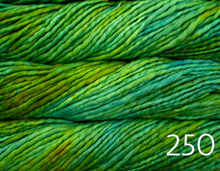 Load image into Gallery viewer, Malabrigo Rasta (super bulky)