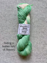 Load image into Gallery viewer, Mad Hatter Colorburst by Wonderland Yarns (sport)
