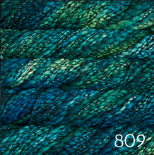 Load image into Gallery viewer, Malabrigo Caracol (super bulky)
