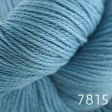 Load image into Gallery viewer, Cascade 220 (worsted)