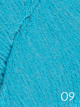 Load image into Gallery viewer, Falkland Worsted by Queensland (worsted)