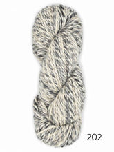 Load image into Gallery viewer, Jaspeada by Araucania (bulky)