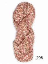 Load image into Gallery viewer, Jaspeada by Araucania (bulky)