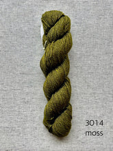 Load image into Gallery viewer, Luna by Symfonie Hand Dyed Yarns (dk)