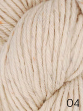 Load image into Gallery viewer, Eco Tweed Chunky by Ella Rae (bulky)