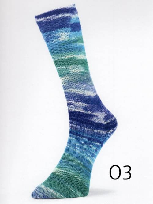 Laines du Nord Mad Socks fingering weight sock yarn in color 03