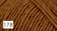 Load image into Gallery viewer, Lambs Pride Bulky by Brown Sheep Company