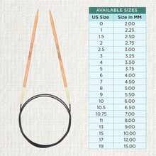 Load image into Gallery viewer, Basix by KnitPro Circular Needles