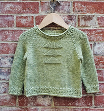 Load image into Gallery viewer, Plymouth Select Chunky Merino Superwash