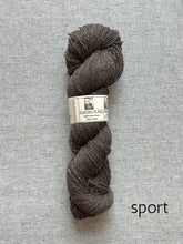 Load image into Gallery viewer, Catawampus Farm Yarn