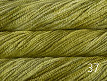 Load image into Gallery viewer, Malabrigo Chunky