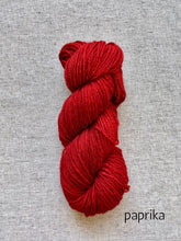 Load image into Gallery viewer, Helen Yarn ~ DK