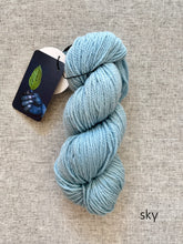 Load image into Gallery viewer, Forage Color Polwarth DK