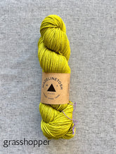 Load image into Gallery viewer, Madelinetosh Tosh DK