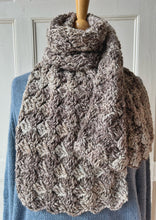 Load image into Gallery viewer, Jaspeada by Araucania (bulky)