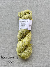 Load image into Gallery viewer, Silk Twist by Wonderland Yarns (dk)
