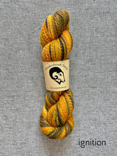 Load image into Gallery viewer, Feederbrook Farm Entropy DK