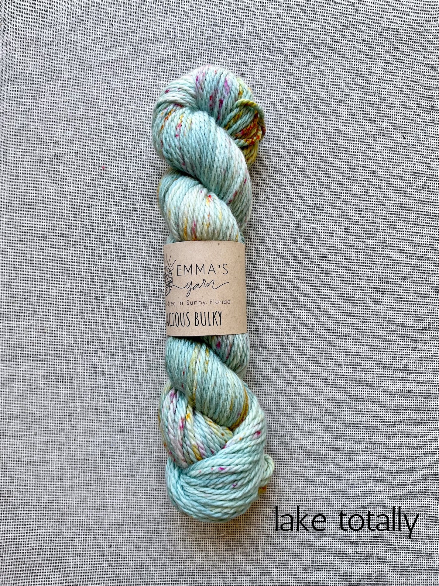 Emma's Yarn Bodacious Bulky superwash merino wool yarn in lake totally