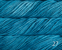 Load image into Gallery viewer, Malabrigo Chunky