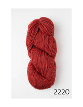 Load image into Gallery viewer, Riti (worsted) by Amano