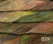 Load image into Gallery viewer, Malabrigo Sock (fingering)