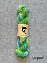 Load image into Gallery viewer, Feederbrook Farm Entropy DK