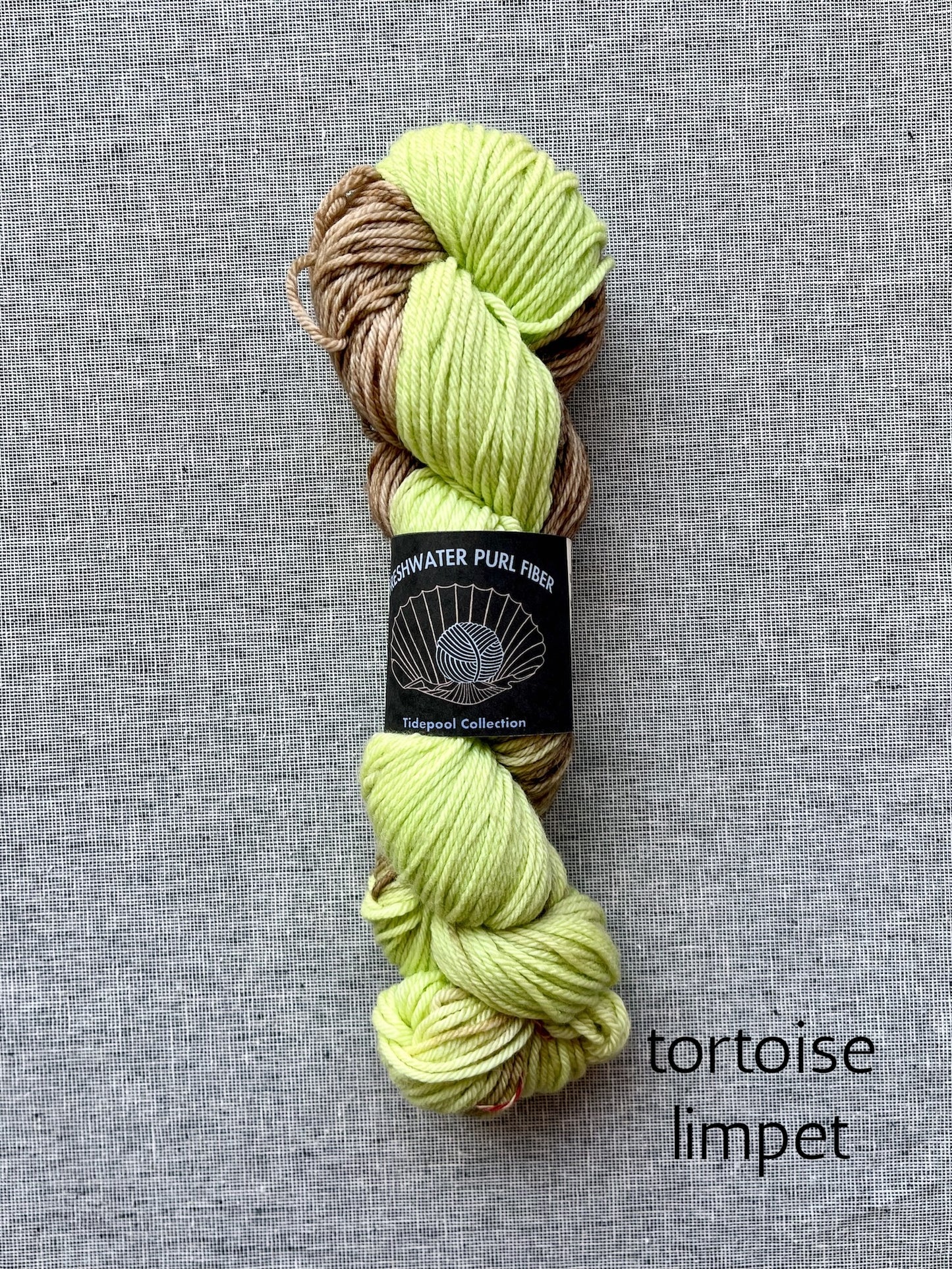 Freshwater Purl Fiber merino yarn in tortoise limpet