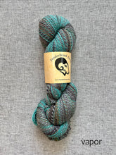 Load image into Gallery viewer, Feederbrook Farm Entropy DK