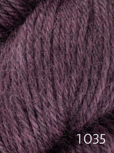 Load image into Gallery viewer, Fleece Bluefaced Leicester by West Yorkshire Spinners (dk)