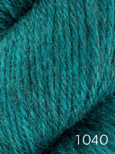 Load image into Gallery viewer, Fleece Bluefaced Leicester by West Yorkshire Spinners (dk)