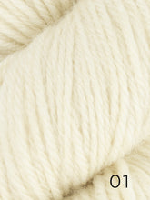 Load image into Gallery viewer, Fleece Bluefaced Leicester by West Yorkshire Spinners (dk)