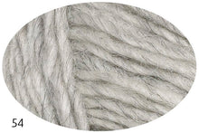 Load image into Gallery viewer, Léttlopi by Istex (aran)