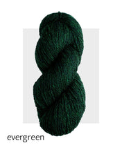 Load image into Gallery viewer, Highland by Harrisville (worsted)