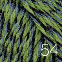 Load image into Gallery viewer, Wildfoote Sock Yarn by Brown Sheep Company (sock/fingering)