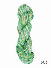 Load image into Gallery viewer, Eco Organic Cotton Hand Paints by Ella Rae (dk)