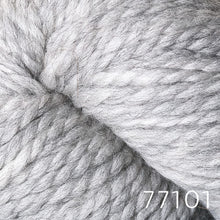 Load image into Gallery viewer, Lanas Quick by Berroco (bulky)