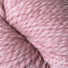 Load image into Gallery viewer, Lanas Quick by Berroco (bulky)