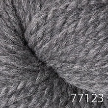 Load image into Gallery viewer, Lanas Quick by Berroco (bulky)