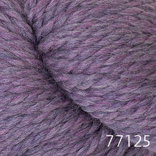 Load image into Gallery viewer, Lanas Quick by Berroco (bulky)