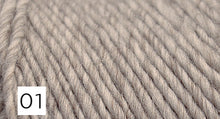 Load image into Gallery viewer, Lambs Pride Worsted by Brown Sheep Company