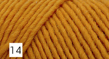 Load image into Gallery viewer, Lambs Pride Worsted by Brown Sheep Company