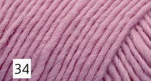 Load image into Gallery viewer, Lambs Pride Worsted by Brown Sheep Company