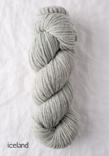 Load image into Gallery viewer, Quince &amp; Co. Osprey (aran)
