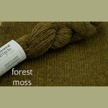 Load image into Gallery viewer, Elemental Affects Shetland Fingering