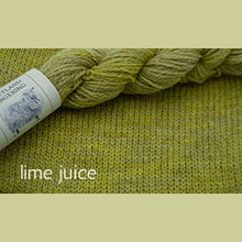 Load image into Gallery viewer, Elemental Affects Shetland Fingering