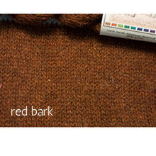 Load image into Gallery viewer, Elemental Affects Shetland Fingering